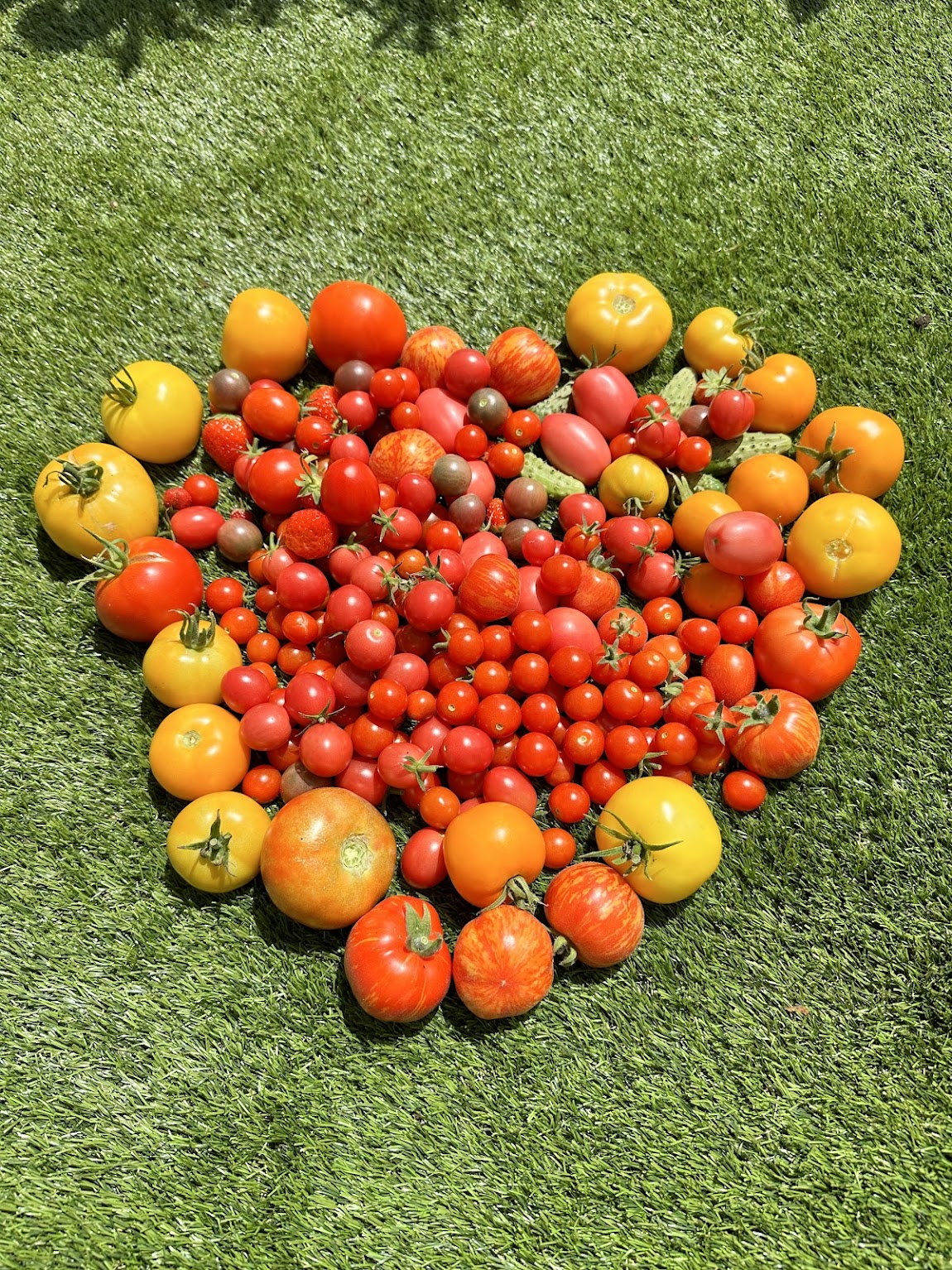 Mini-ferme et basse-cour