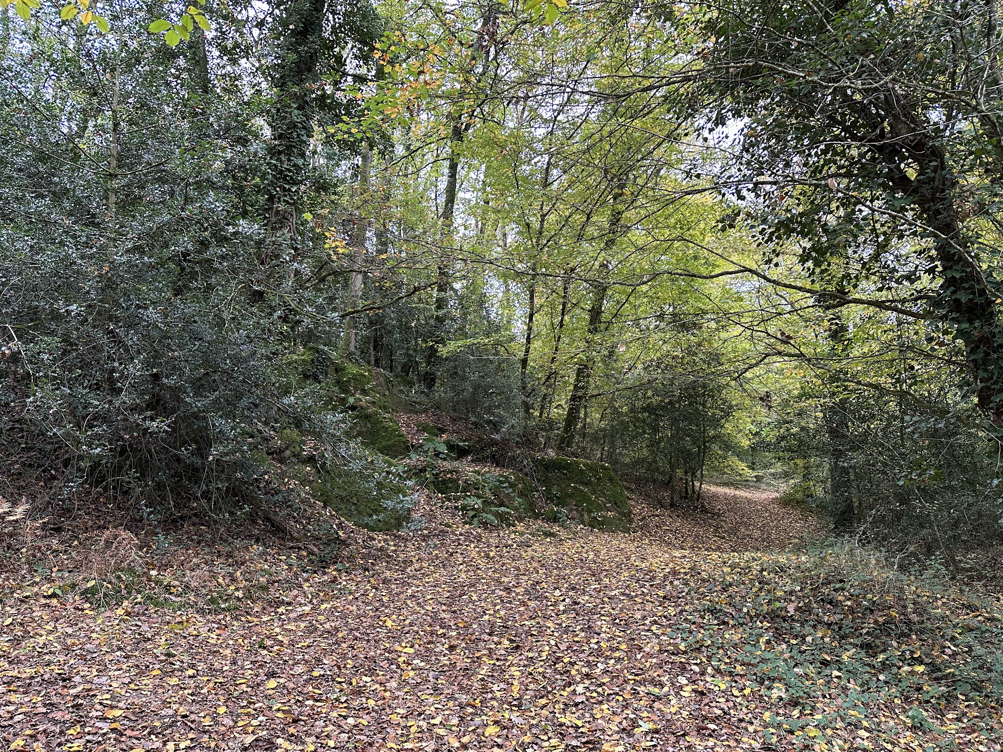 Route des Alpes en moto