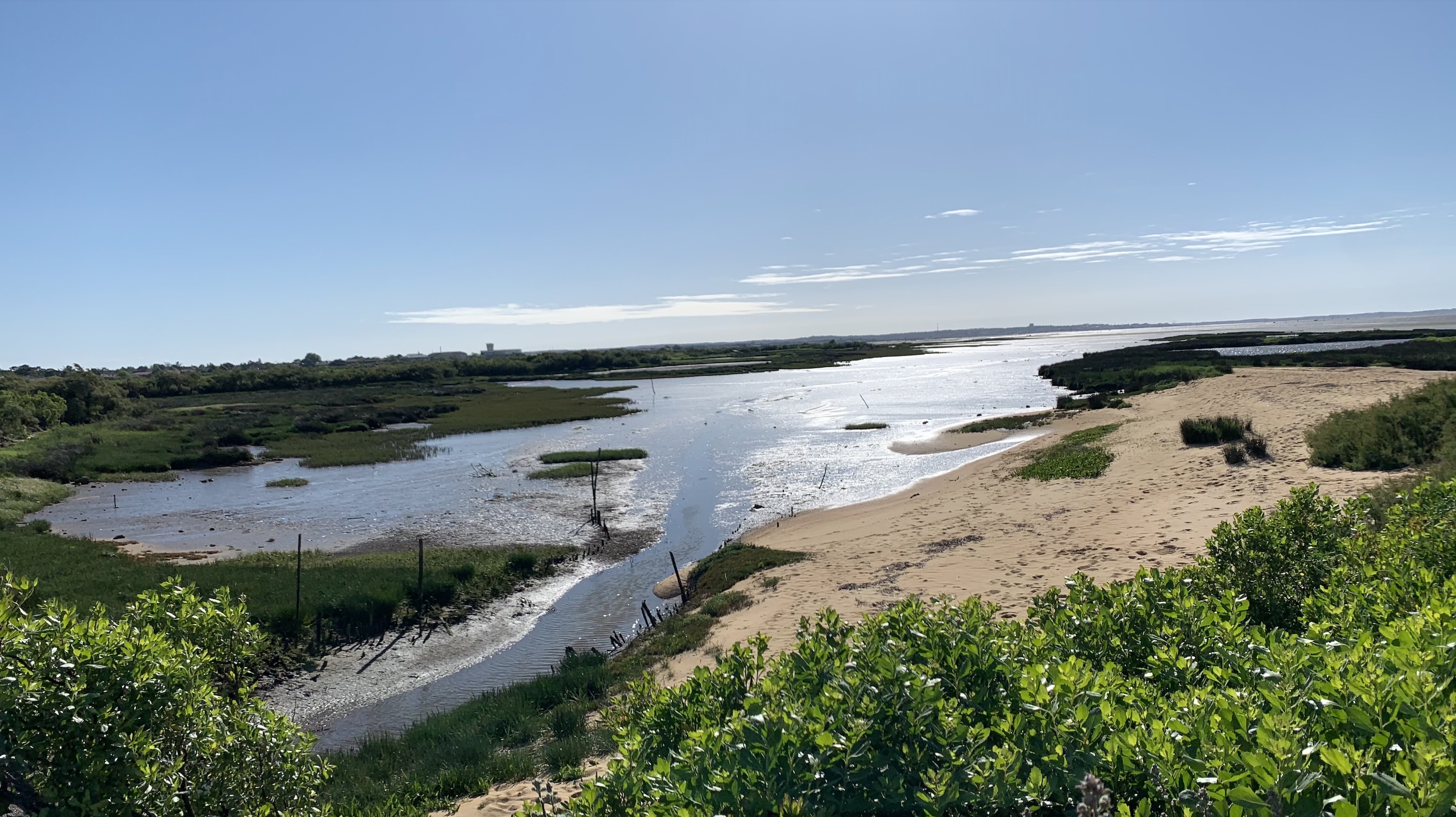 Landes de Gascogne : entre pins, rivières et nature sauvage