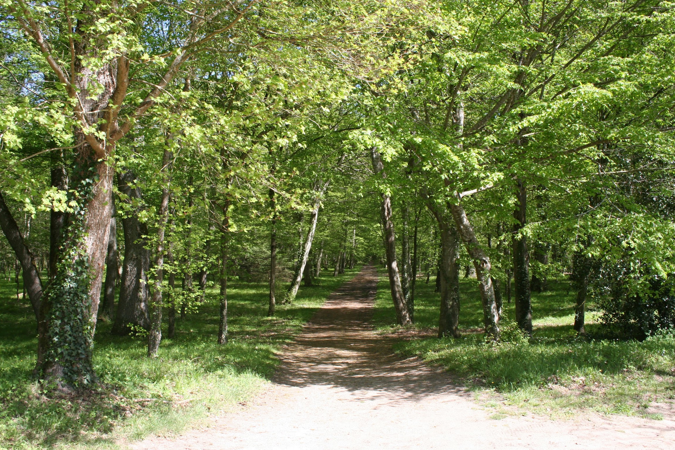 Road trip en Provence au coucher de soleil