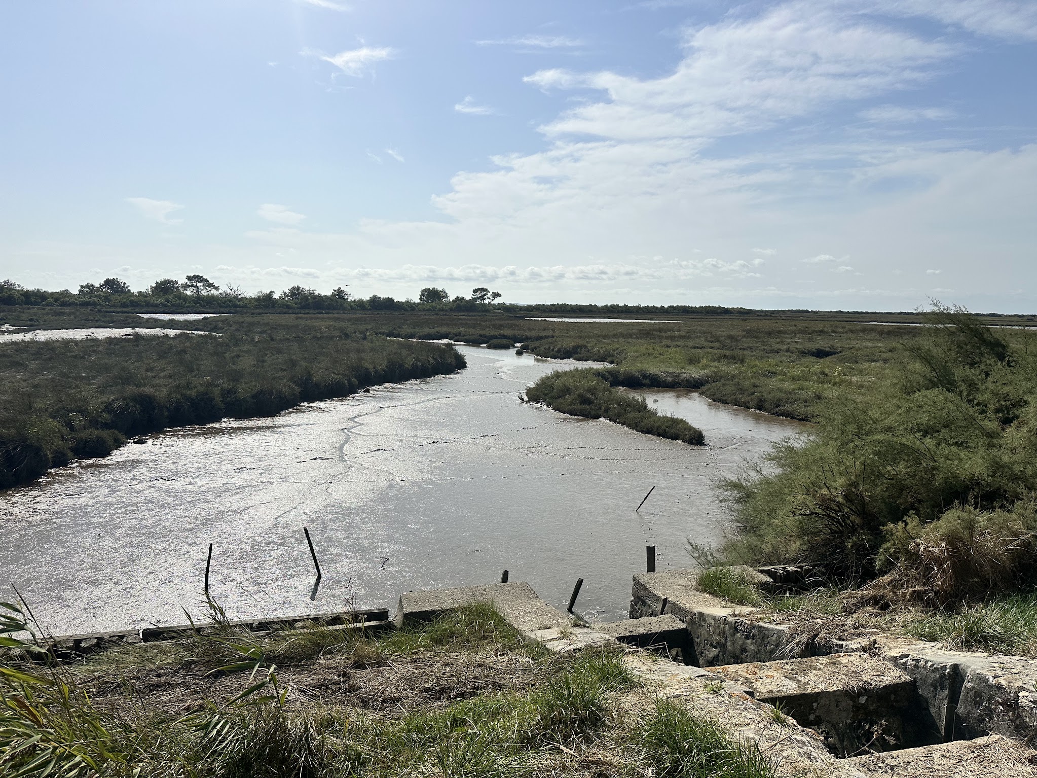 Randonnée sur le sentier du littoral du domaine de Certes et de Graveyron : une balade entre ciel, mer et oiseaux