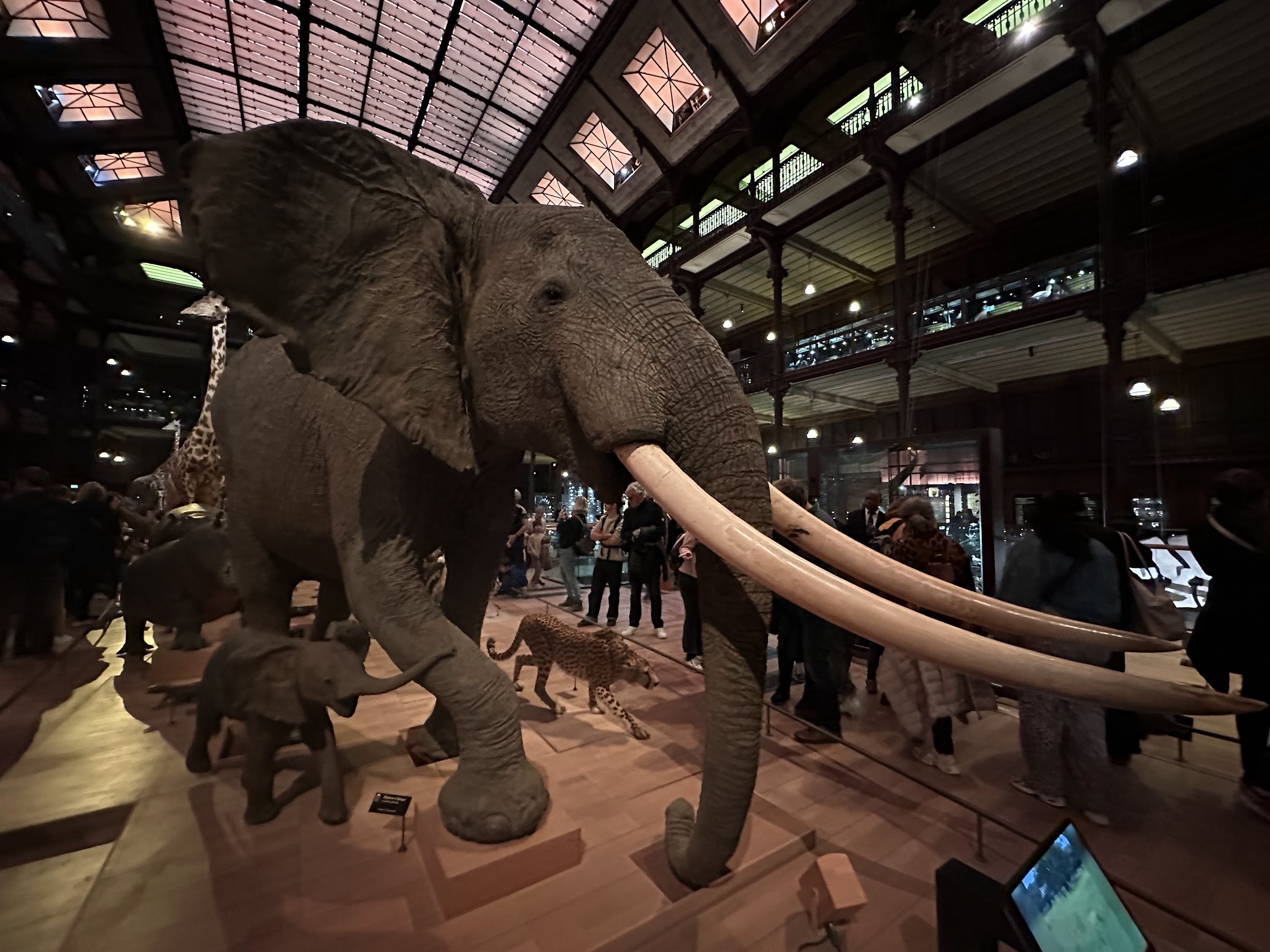 Road trip en Provence au coucher de soleil