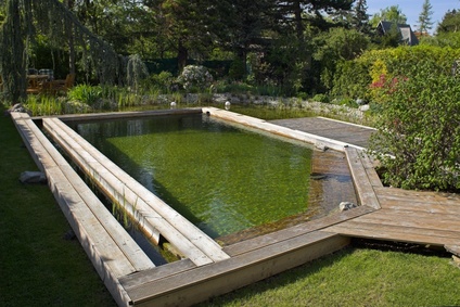La piscine écologique et naturelle