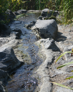 Installer une fontaine dans un bassin