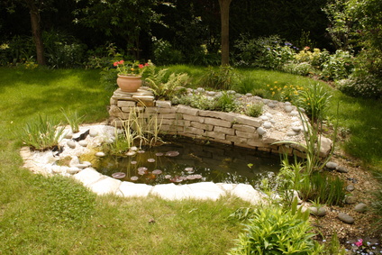 Réaliser un bassin dans son jardin
