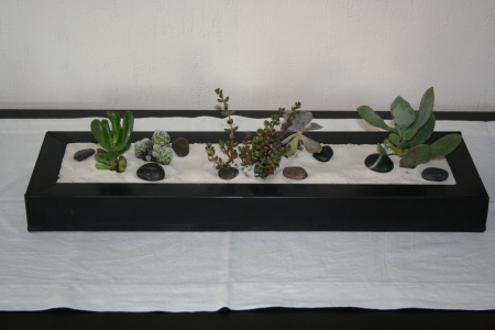 Composition florale avec des cactus
