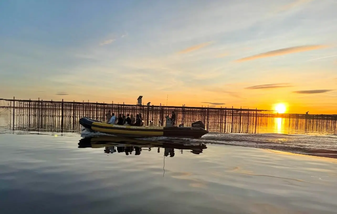 Le bateau au milieu des parcs à huîtres de l’étang de Thau