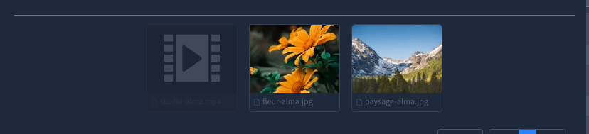 Une vidéo reste grisée pour le champ Image.