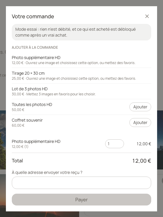 Le panier présente la photo et son prix avant validation.