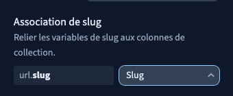 La variable slug est associée au champ Slug.