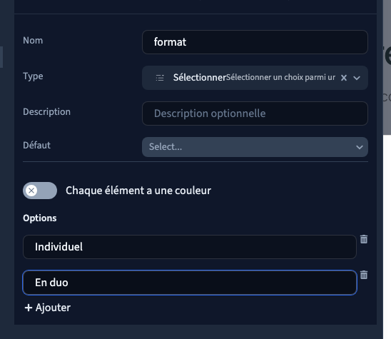 Deux options préparées dans le panneau du modèle.