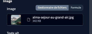 Le fichier choisi devient la source de cet élément.