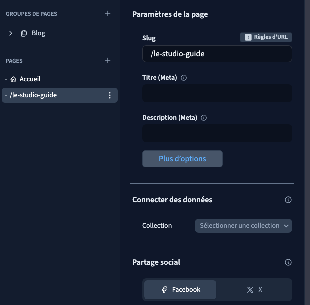 Les pages du site se retrouvent dans le panneau Pages