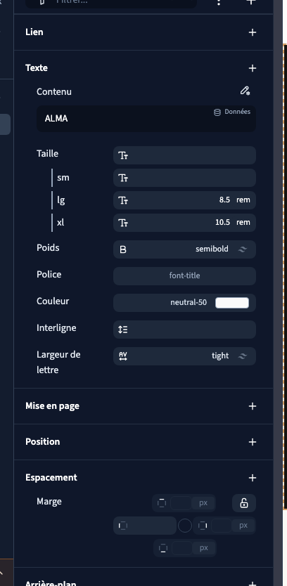 Les groupes de réglages du texte sélectionné en Expert