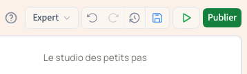 Le bouton d’enregistrement et Publier ont des rôles différents.