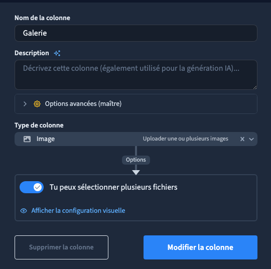 La galerie autorise plusieurs fichiers.