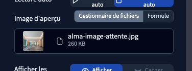 L’image d’attente est choisie séparément de la vidéo.
