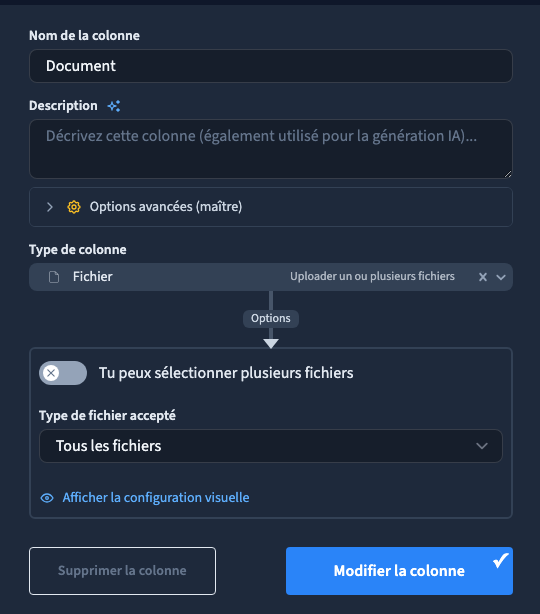 Le champ Fichier propose quatre familles de formats.